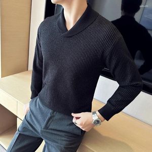 Men's Sweaters Fruit Neck Sweater Knit Pullover Fashion Grid Wool Black