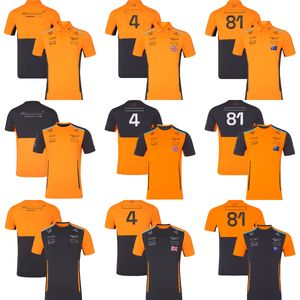 2024 Neues F1-Team T-Shirt Formel 1 Fahrer Rennen Polo-Shirt Offizielle Marken Männer gelbe schwarze Kurzärmer-T-Shirts Trikot