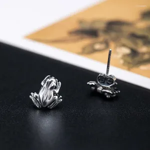 Ohrstecker Persönlichkeit Retro Niedlicher Frosch Ohrring Für Männer Frauen Punk Stil Silber Farbe Tier Trendy Party Punk Schmuck