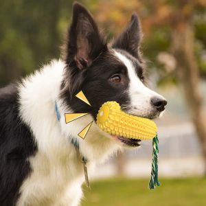 ホルダー1PCSコーントゥースブラシチュー犬おもちゃ子犬の鳴き声ゴム製歯磨き歯のケアクリーニングインタラクティブゲームペット製品モル