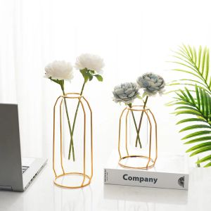 Vase Nordic Creative Vase Home Decoration Golden Black Glass Vase Vase Vase Hydroponic Plant Frame Wire Flower Ornamentsホームガーデンデコレーション