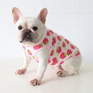 Coletes Bulldog Francês Roupas Primavera Outono Frenchie Dog Casaco Jaqueta Pug Roupas Schnauzer Dog Outfit Soft Pet Vest Costume Vestuário