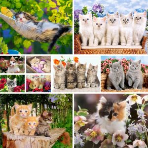 Number Animal Cat Coloring By Numbers Painting Kit Oil Paints 40*50 Paiting By Numbers Home Decoration For Children Wall Art Wholesale