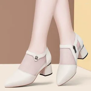 Kleidschuhe für Frau 2024 Normales Leder Casual Damen Sommerschuhe Chunky Heels Transparente Sandalen Klare spitze Zehen Blockabsatz