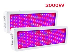 2000W Double Chip LED Grow Full Spectrum Lights Red Blue UV IR för inomhusväxt och blommor Hög kvalitet5088693