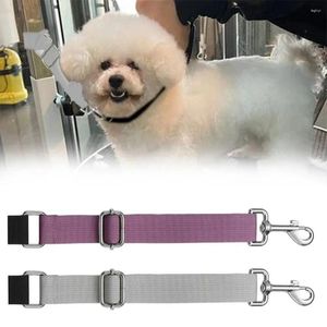 Dog Collars Quick Release Extension Strap Adjustable Light Grey Grooming Straps Trimming Pet Arm Accessories