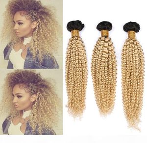 Biondo ombre brasiliano Brasiliano Human Weave Bundles 3pcs Lot Kinky Curly 1B 613 Blonde Ombre Virgin Human Hair Wefts 1030Quot Mixe2922056