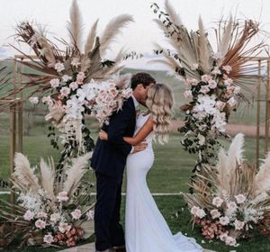 100Pcslot Whole Phragmites natural dried decorative Pampas Grass for Home Wedding decoration Flower Bunch 5660cm8474731