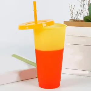 Tumblers Practical Discoloration Cup No Odor Color Changing Cold With Lid Straw Food Grade Plastic Water For Kitchen