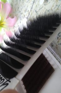 Verklig volym ögonfransförlängningar blandade fans fransar ögonfransar 3d6d 12 rowstray 007 Easy Fan Lashes YouCoolash Factory Big Promotion5739979