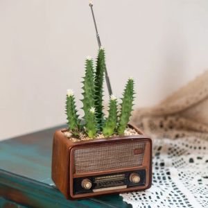 Fioriere Fioriere ornamentali vintage a forma di radio con fori di scarico Vaso da fiori Decorazioni per la casa carine Regalo personalizzato