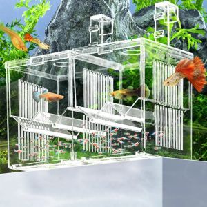 Tankar rensar akryl minifisk tank med löstagbara delade fackskolor fisktank fisk akvarium uppfödare för fiskräka för fisk