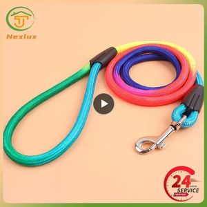 Dog Collars Round Leash Easy To Operate Durable Adjustable Length Colorful Design Good For Walking And Training Nylon Belt Safe Reliable
