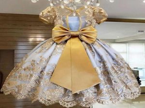 女の赤ちゃんのドレスレース刺繍クリスマスドレスウェディングガウン子供服の子供用ドレス授業5648747