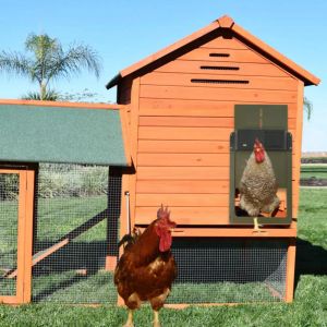 Tillbehör högkvalitativ automatisk kyckling coop dörr solenergi ljus sensor kyckling hus praktiska gård kyckling husdjur anka bur dörr jordbruksdekor