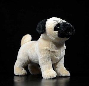 Original Pug Dog Yellow Soft Stuffed Plush Toys Cute Children Kids Gift Realistic Lifelike Animals Dolls Canis Lupus Familiaris Q09238020