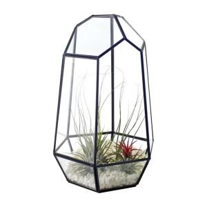 Planters Glass Terrarium Geometry Enclosed Ecosystem Indoor Irregular Opened Glass Flower Pot Home Garden Tabletop Decoration Container