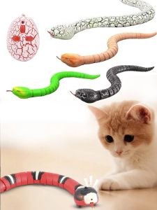 Brinquedos automáticos cobra gato brinquedos indução inteligente para gato engraçado novidade presente usb recarregável acessórios para animais de estimação para cães gato jogar brinquedo