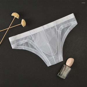 Underbyxor män transparent remmar med låg höjning av sexiga underkläder andningsbara genomskinliga tunna konvexa påse Knickers