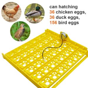 アクセサリー新しい36個の卵インキュベーターターントレイ家禽インキュベーション機器鶏のアヒルやその他の家禽インキュベーターは自動的に卵を回します