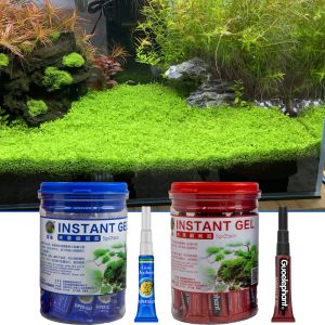 أدوات 25pcs/صندوق Multiuse Aquarium Moss Glue Glue Plant الشرج