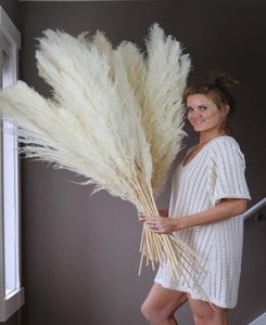 DIY white pink Real Dried Pampas Grass Decor Wedding Flower Bunch Natural Plants Fall Decor For Home Christmas gift7843463