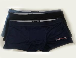 L4XL Luxury Men Boxer Underbyxor Underwear Spandex Elastic Shorts For Man Plus Size Size Fashion Sexig Gay Underwears Breattable H7909390