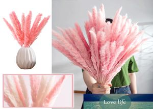 15 pezzi naturali essiccati piccola pampa erba Phragmites piante artificiali matrimonio mazzo di fiori per la decorazione domestica fiori finti5656645