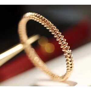 Skruvarmband Bangle Cartlier Armband Bullet Armband Rose Gold Willow Nail Armband Versatil Fashion Luxury Instagram