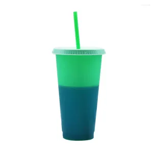 Tumblers 720ml Practical Color Changing Bottle With Lid Straw Temperature Mug Long Lasting Cute Heat Insulation