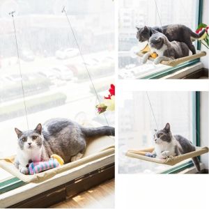 Mattor söta husdjur hängande sängar med katt soligt fönster säte montering husdjur katt hängmatta bekväm katt husdjur säng hyllor sätesängar