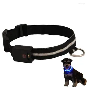 Dog Collars Light Up Collar Rechargeable Waterproof LED Adjustable Pets Night Safety Cats Small Medium Dogs Accessories