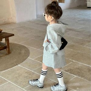 Conjuntos de roupas crianças conjunto 2024 primavera moda estilo coreano meninas casual hoodie cor sólida saia moda duas peças