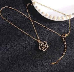 2024 Designer smycken rostfritt stål för kvinnor designer klassisk blomma fyrblad klöver hänge halsband 10 valfritt enkelt daglig modegåva ingen låda