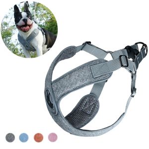 Pettorine Bulldog francese Pettorine per cani di piccola taglia e media Pettorina e guinzaglio riflettente per cuccioli Corgi mascotas Accessori Guinzagli