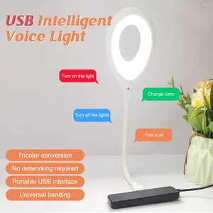 Luci notturne Mini lampada a controllo vocale Protezione occhi USB Dimmerabile Smart Home Sensore del suono corporeo Presa diretta Scrivania