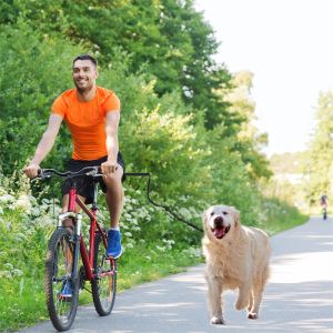 Leashes Bicycle Dog Walker Puppy Traction Rope Pet Walking Leash Bike Chain Pulling Hands Free Outdoor Safe Adjustable