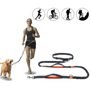Leashes Hands Free Dog Leash Elastic Dog Running Belt Pet Bungee Rope Leashes Reflective Jop Dogs Training For Medium Large Dog Supplies