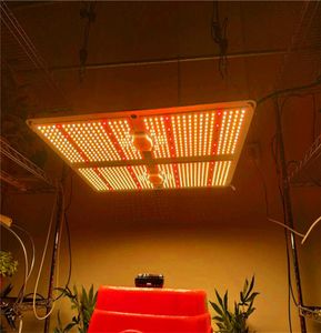 Full Spectrum Samsung LED Grow Light 1000W2000W4000W med LM301B 234 st 3000k chips och UL Meanwell Driver Indoor Planting6864250