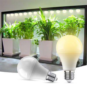 Shopled Grow Glybs, A19 Full Spectrum LED -glödlampa, 9W växt glödlampa 100W ekvivalent, e26 bas, 110v 120V, för inomhusväxt, växthus, plantor, varm vit