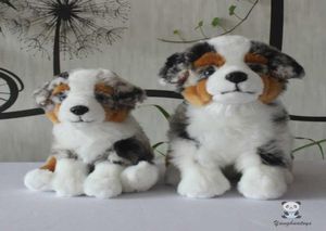 Morbidi giocattoli di peluche Cani rari Modello Vita reale Peluche Pastori Bambole Bel regalo Ragazze e ragazzi H10256942777