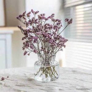 Vases Nordic Glass Flower Vase Transparent Hydroponic Pot Vase Plant Bottle Flower Pot for Home Decoration Mini Desktop Short Vase