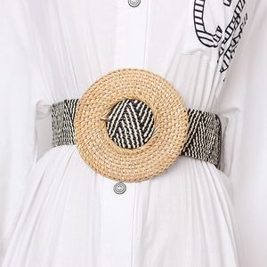 Wooden Buckle Dress Belt For Women Casual Female Braided Wide Strap Female Designer Woven Girls Elastic PP Straw Belts BZ339 Y1912235a