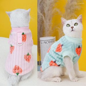 Trajes de gato bonito colete roupas para animais de estimação roupas de algodão pequeno azul outono e inverno morango casaco de veludo