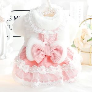 Dog Dress Winter Thicken Warm Pet Coat Girl Clothing Chihuahua Yorkie Clothes Poodle Pomeranian Bichon Costume Apparel 240228