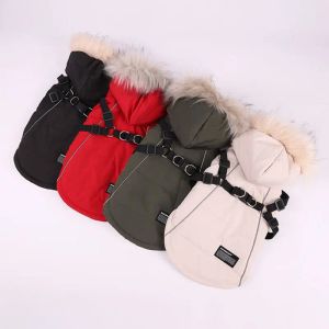 Jackor Pet Dog Hooded Jacket med sele vinter varma hundkläder vattentät för små medelstora hundar kappa chihuahua fransk bulldog outfit