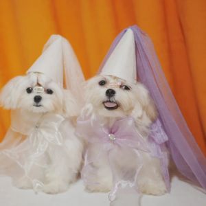 Acessórios Acessórios para animais de estimação Pet Small Dog Birthday Supplies Puppy Wedding Dress Cat Fashion Desinger Chete de cocar Yorkshire Pomerânia Poodle