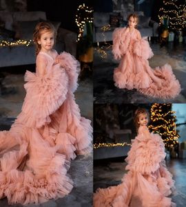 Pink Ruffles Flower Girls Dresses For Weddings Baby Party Prom Poshoot Girl Dress Long Sleeve Birthday Gowns6284457