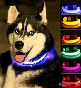 Coleiras de nylon LED para cães, coleiras noturnas de segurança piscando que brilham no escuro, coleiras luminosas fluorescentes para animais de estimação, suprimentos reflexivos ajustáveis Sa7512362