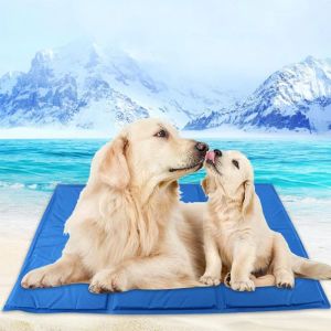 Pens Yaz Pet Soğuk Jel Soğutma Mat Pad Antiscratch Köpek Yatakları Küçük Orta Köpekler İçin Direk Golden Retriever Mascota Uyku Yatak